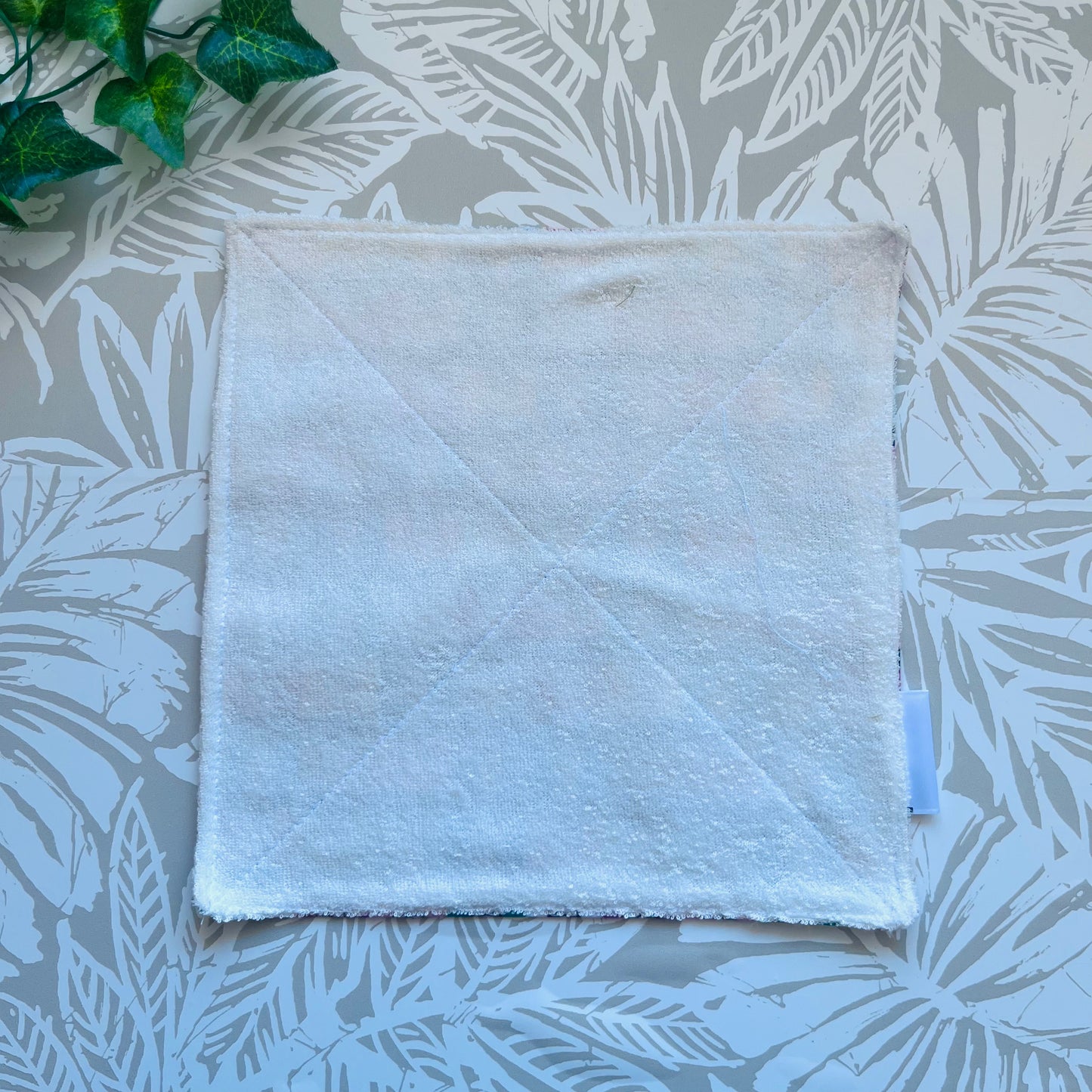 RBG Wash Cloth
