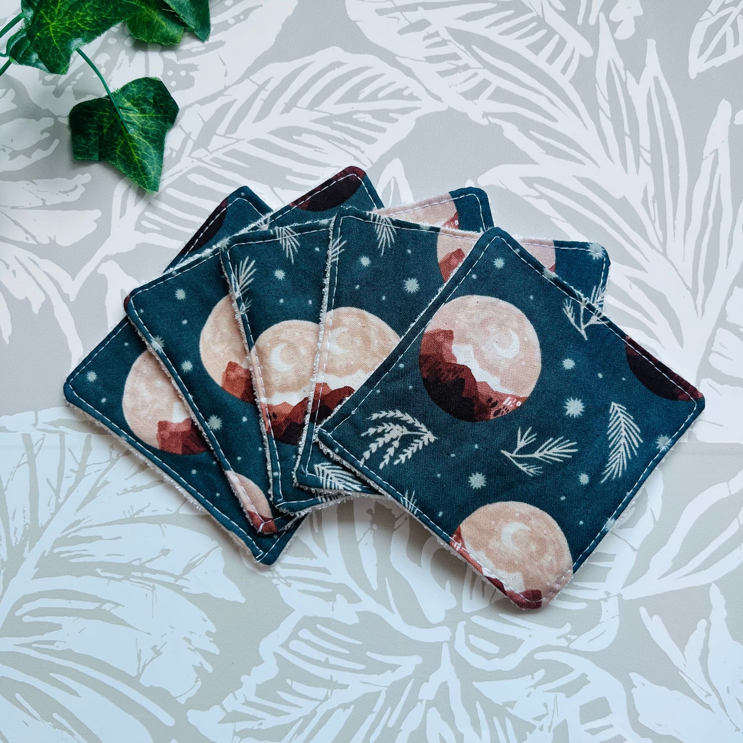 Mountain & Moon Face Wipes