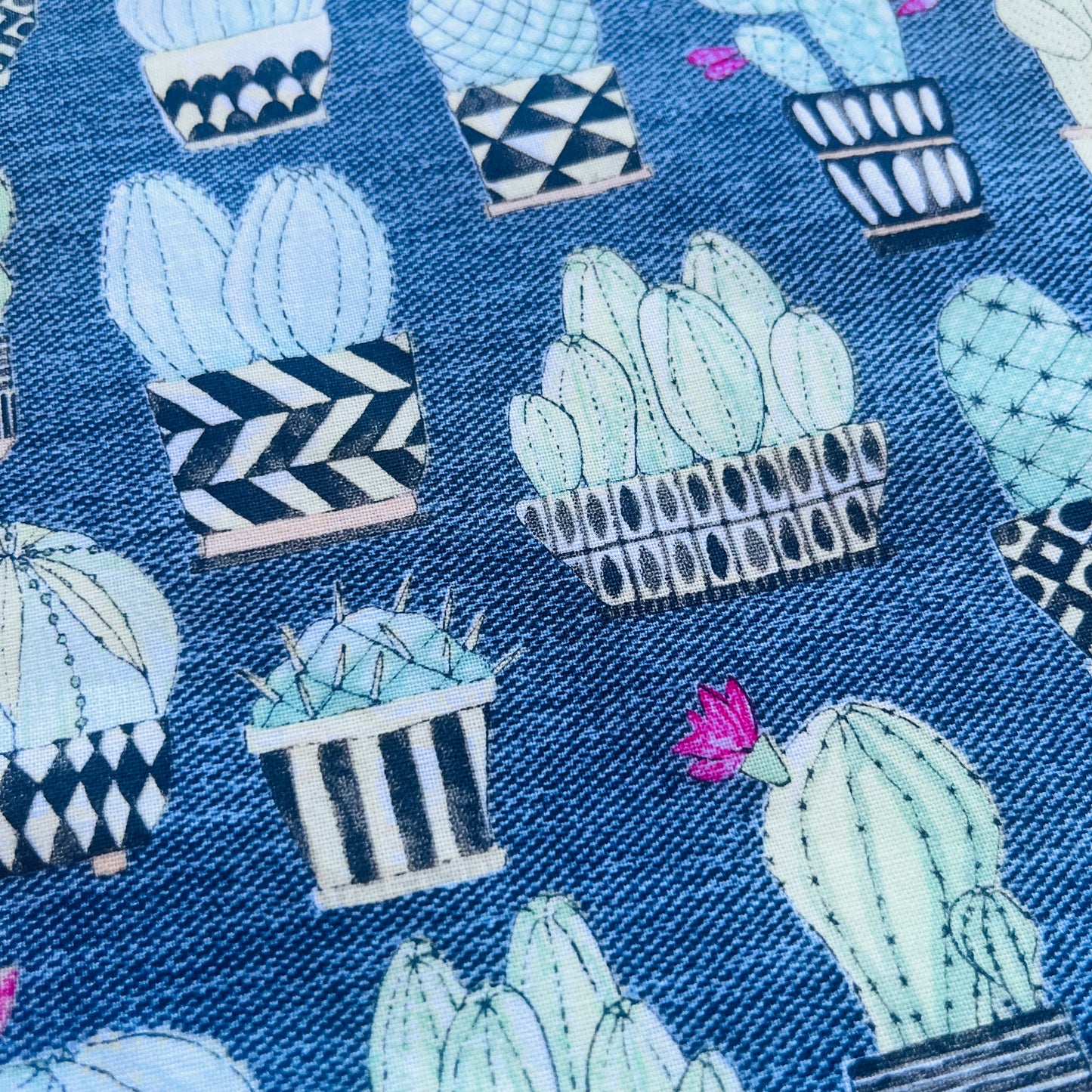 Grey Cactus Wet Bag