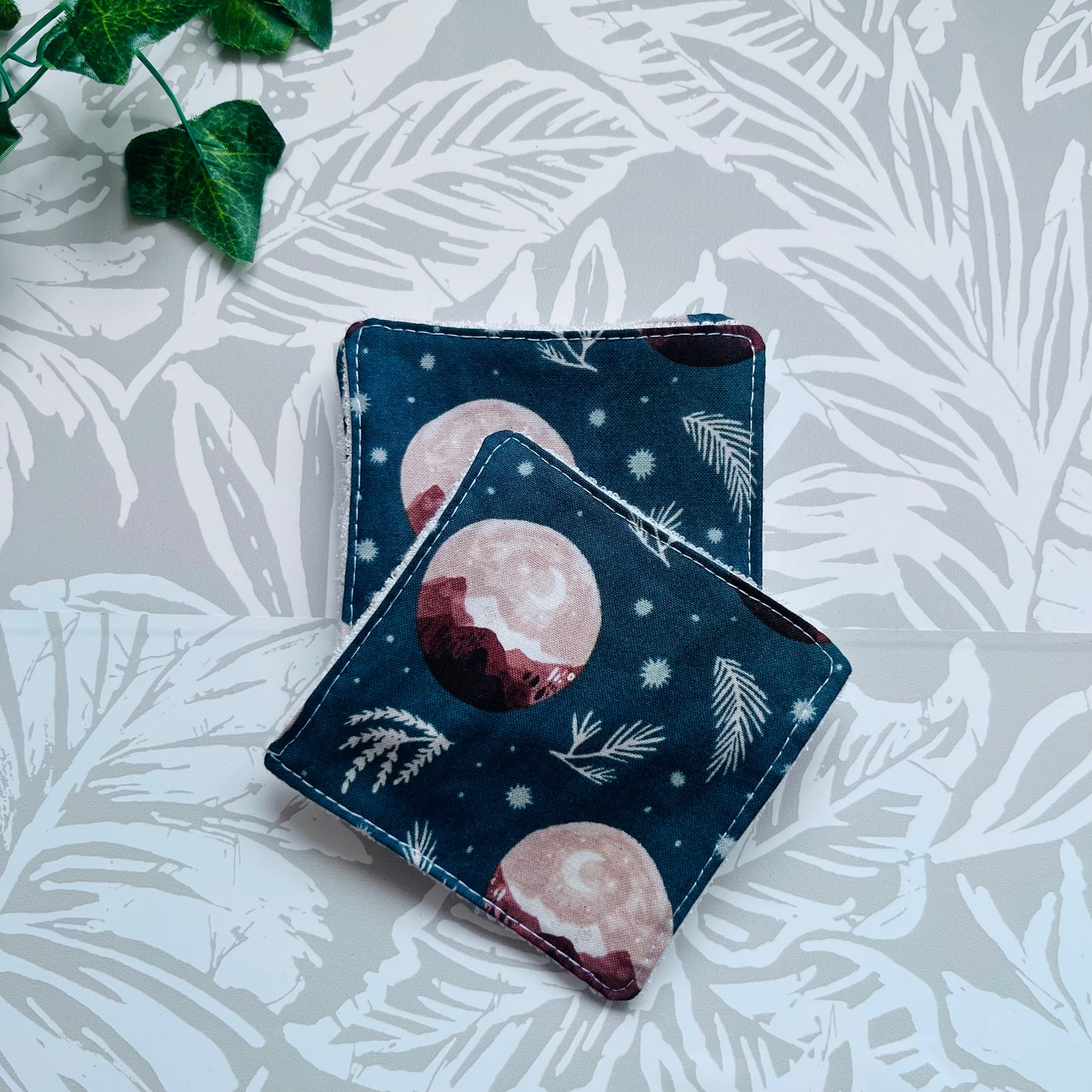Mountain & Moon Face Wipes