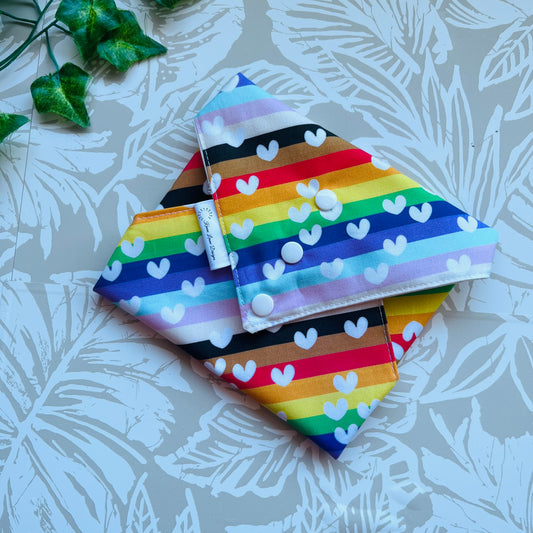 Pride Sandwich Wrap