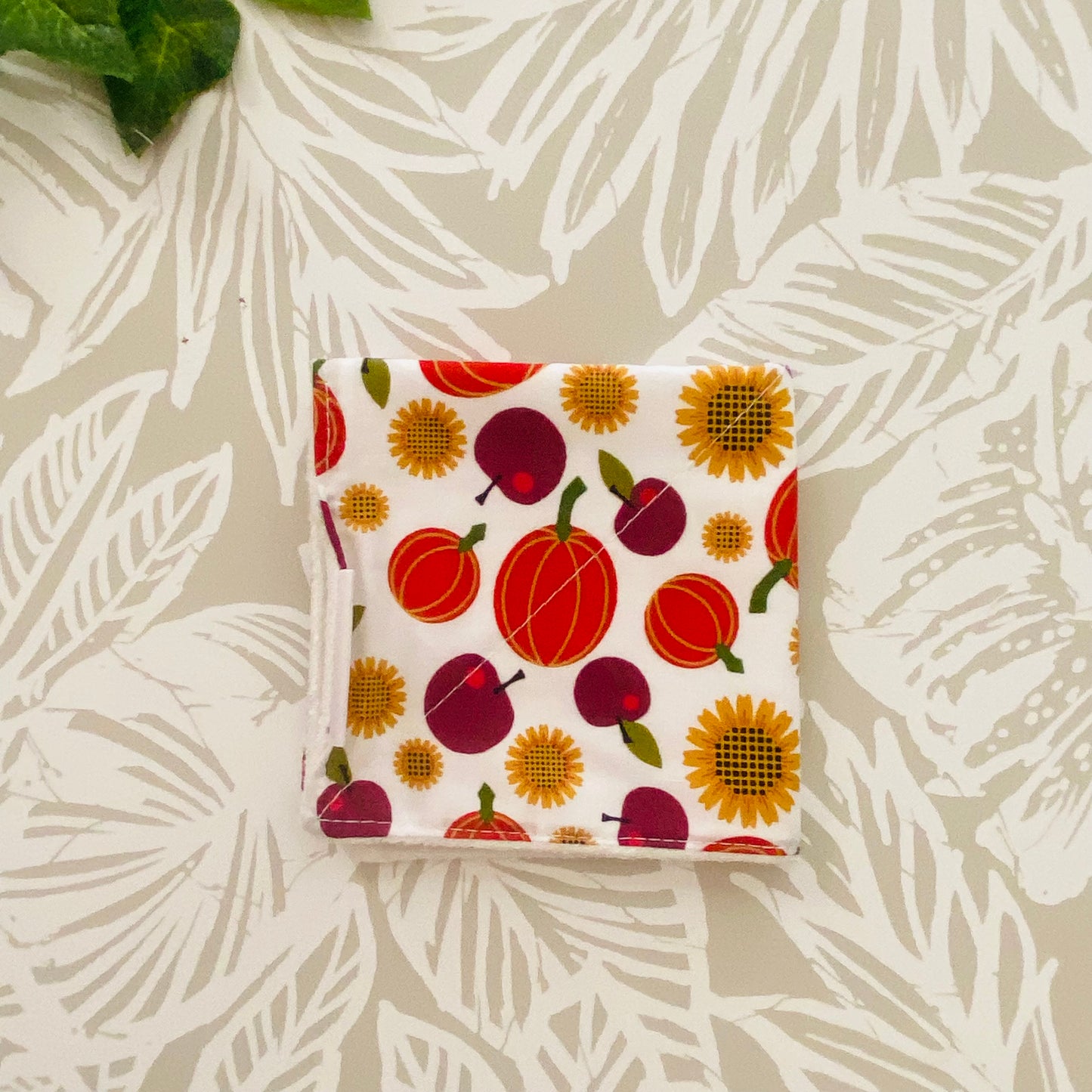 Fall Harvest Wash Cloth