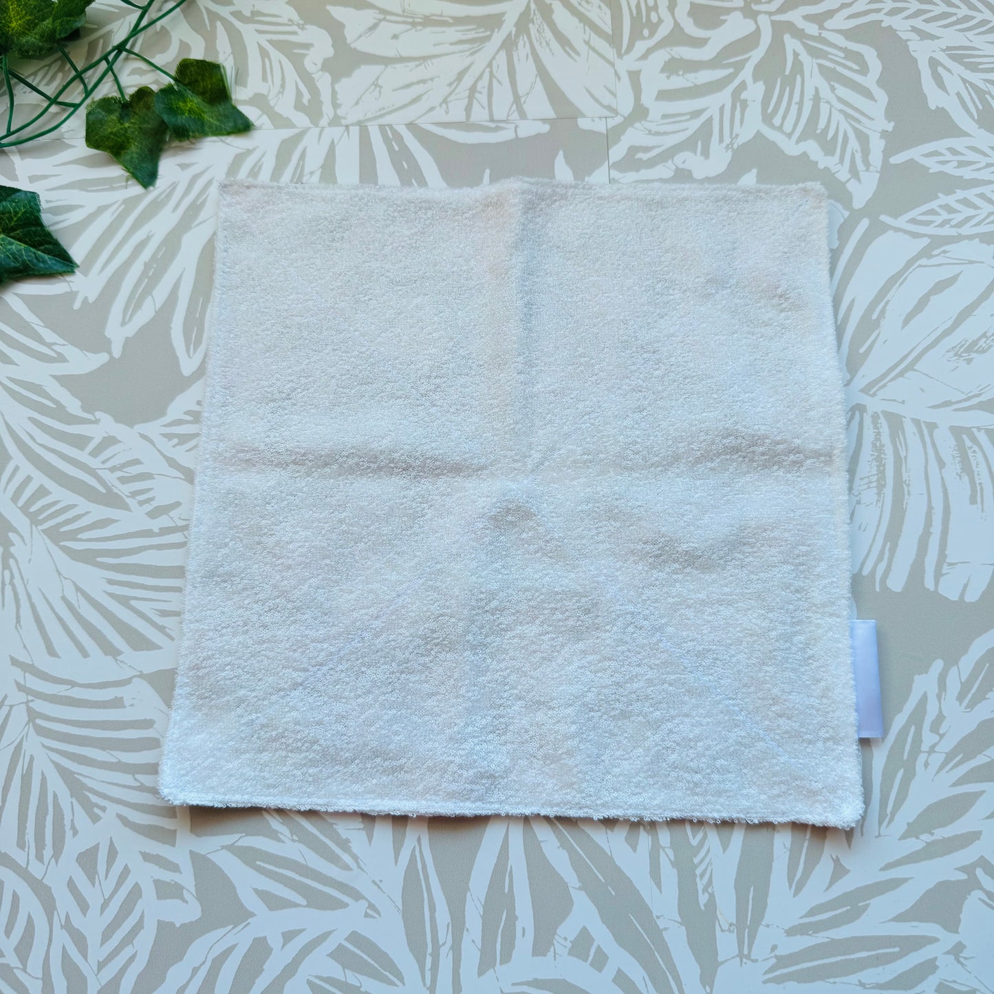 Muppets Wash Cloth