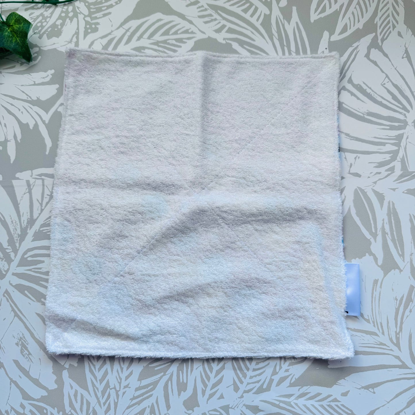 Donut Wash Cloth