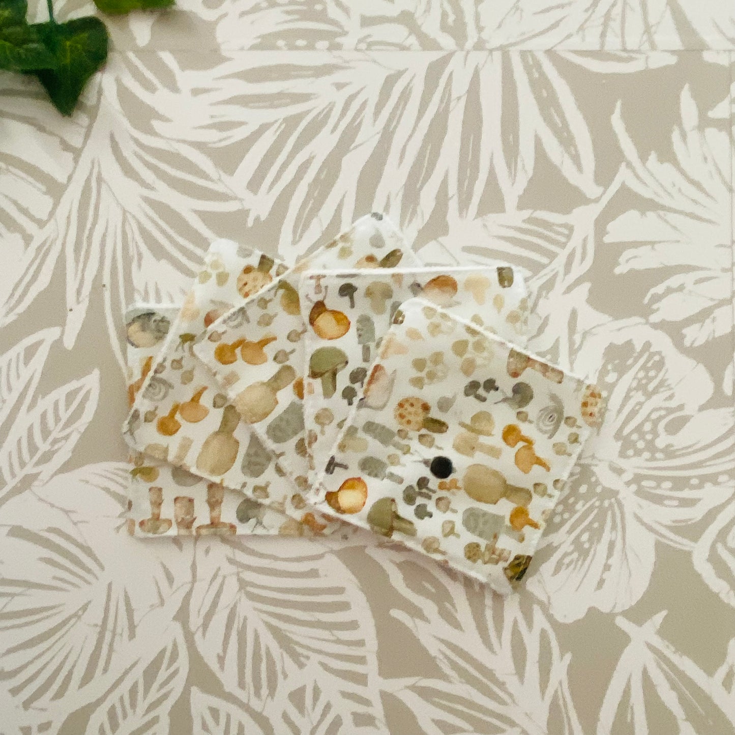 Mini Mushroom & Snail Face Wipe