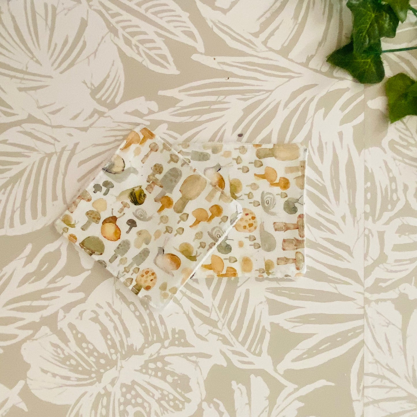 Mini Mushroom & Snail Face Wipe