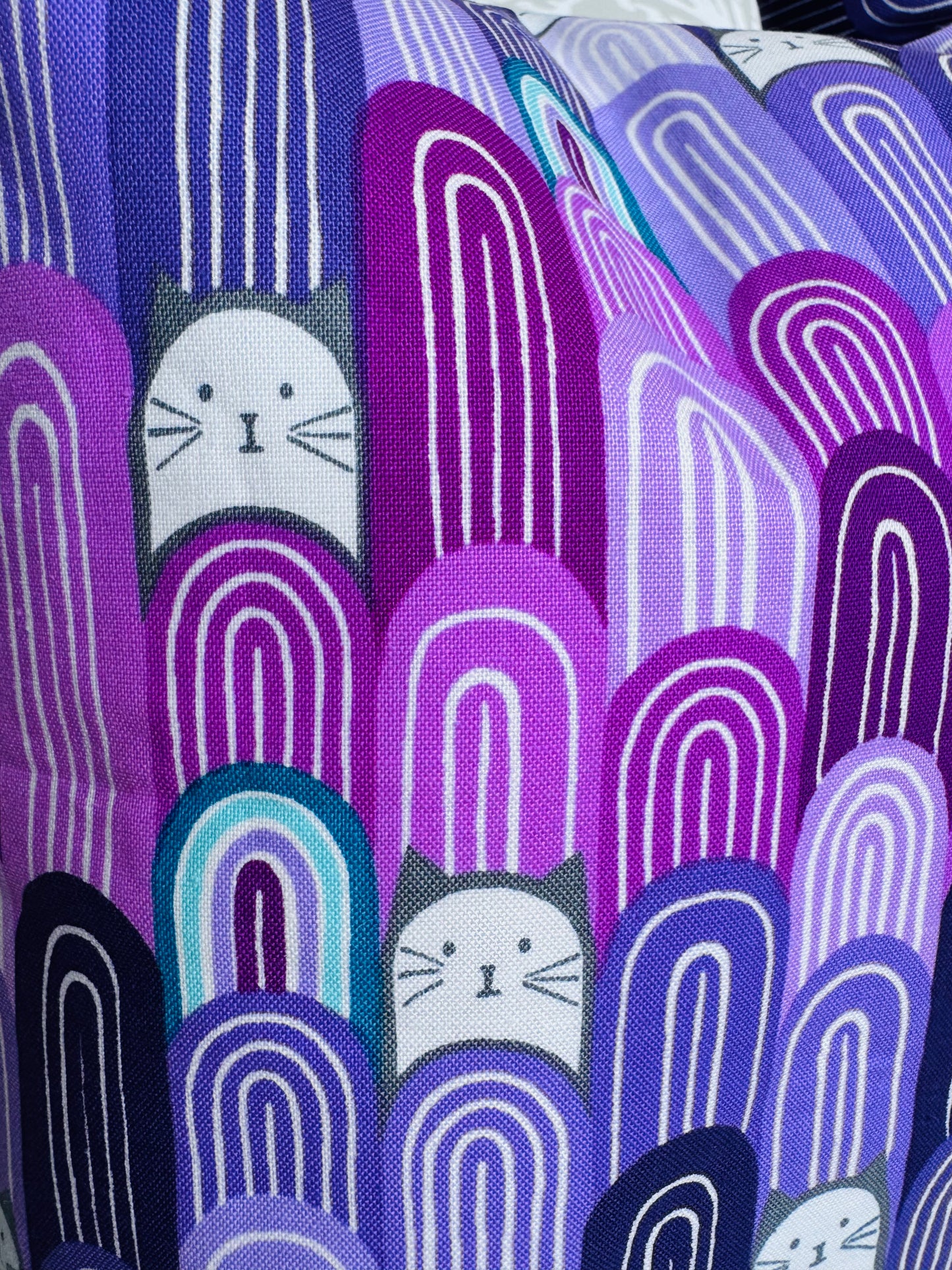 Purple Rainbow Kitty Lunch Bag