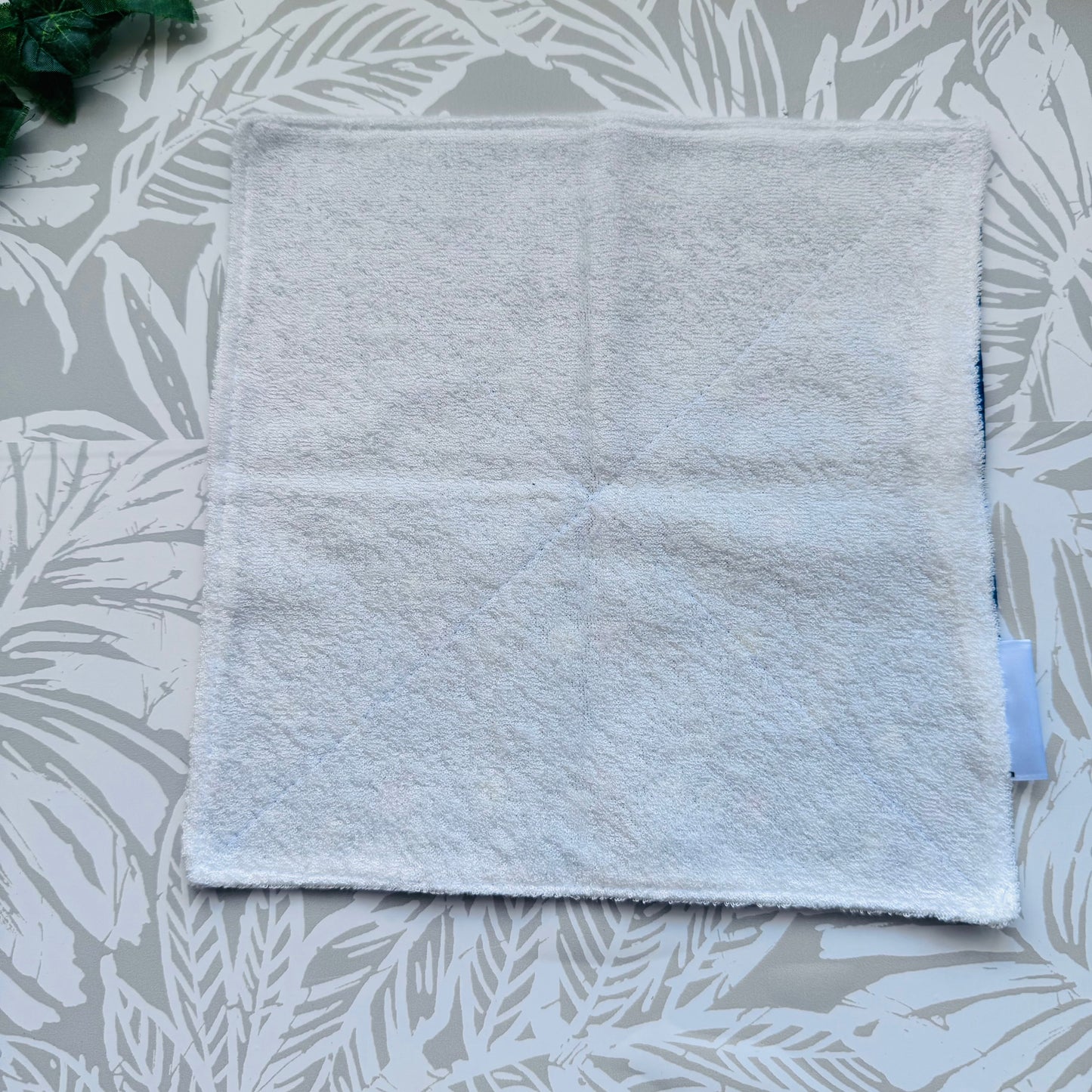 Dino Tracks Wash Cloth