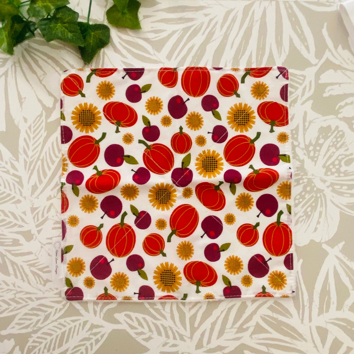 Fall Harvest Wash Cloth